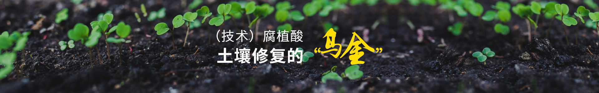 腐植酸,土壤修复的乌金